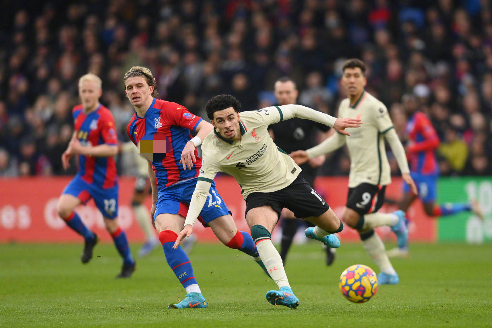 球迷和专家 球迷和专家