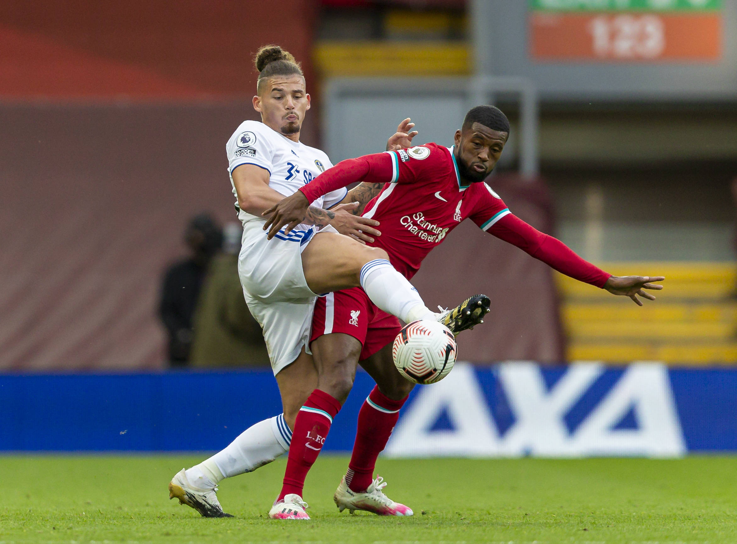 葡体作为葡 葡体作为葡